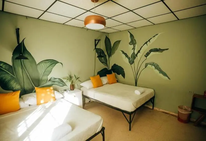 اتاق استاندارد با چشمانداز باغ, Hostal & Café Travelers