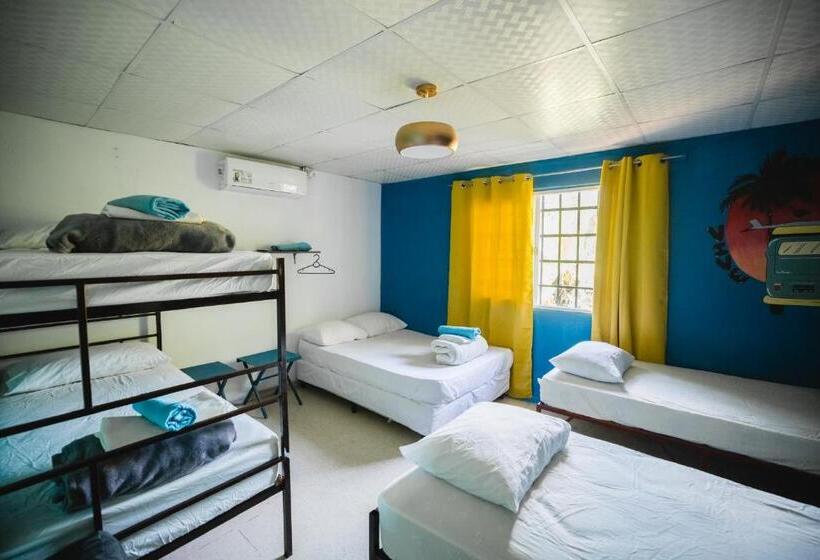 سرير فى غرفة مشتركه, Hostal & Café Travelers