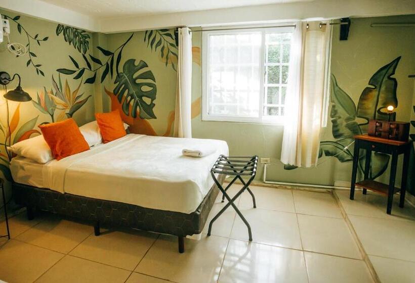 غرفة قياسية مطلّة علي الحديقة, Hostal & Café Travelers