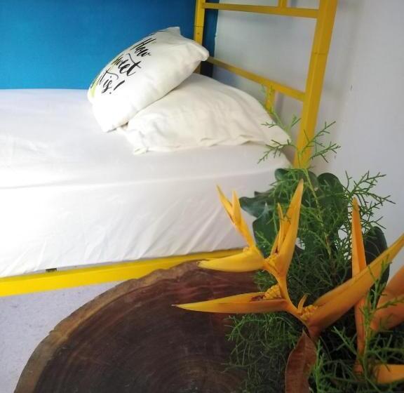 غرفة قياسية, Hostal & Café Travelers