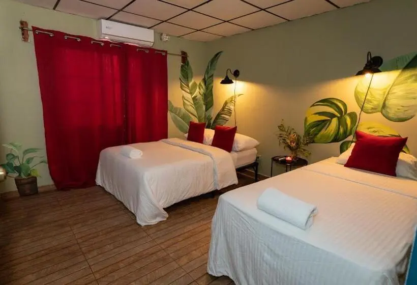 اتاق لوکس, Hostal & Café Travelers