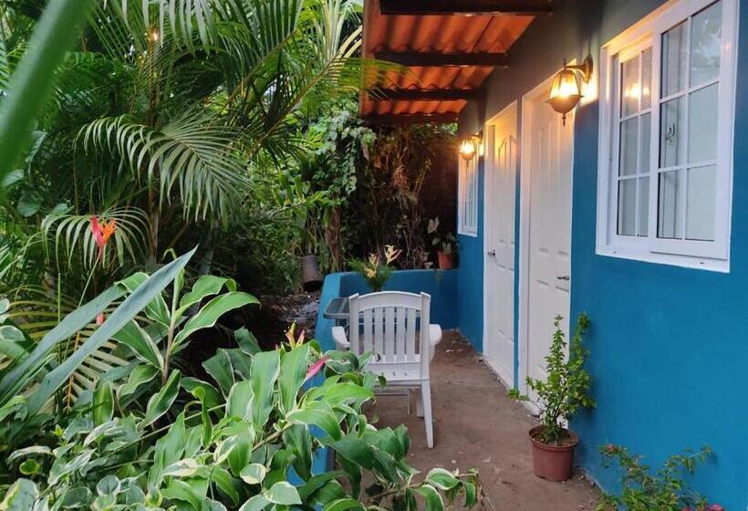 غرفة قياسية مزوَّدة بتراس, Hostal & Café Travelers