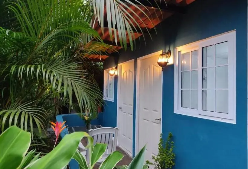 اتاق استاندارد با تراس, Hostal & Café Travelers