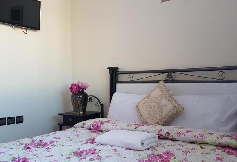 اتاق استاندارد یک نفره, Nice 06