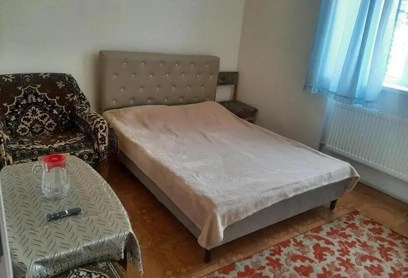 اتاق استاندارد با تخت بزرگ, Ani Guest House