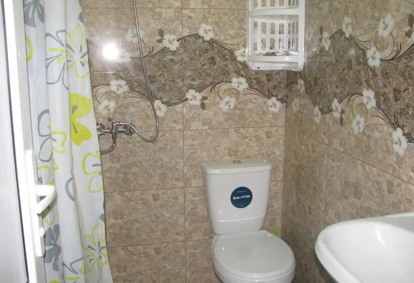 اتاق استاندارد با تخت بزرگ, Ani Guest House