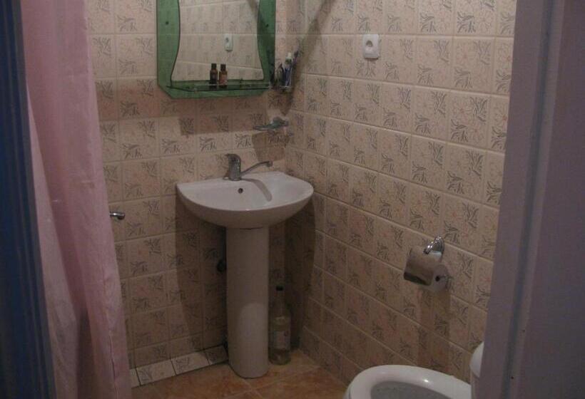 اتاق استاندارد با تخت بزرگ, Ani Guest House