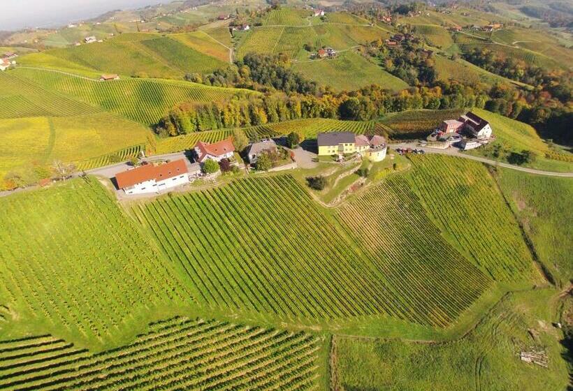 اتاق استاندارد چهار تخته, Familienweingut Oberer Germuth