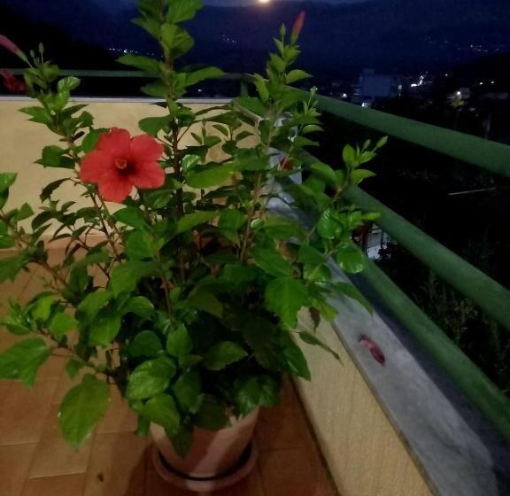 اتاق استاندارد با چشم‌انداز باغ, Guesthousemantho