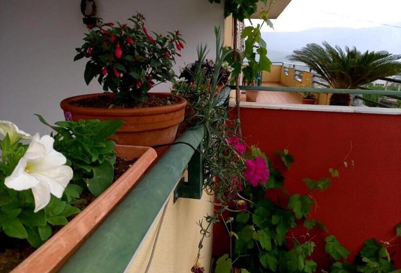 اتاق استاندارد با چشم‌انداز باغ, Guesthousemantho