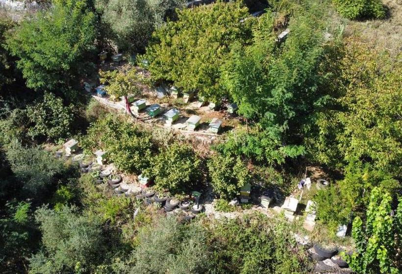 اتاق استاندارد با چشم‌انداز باغ, Guesthousemantho