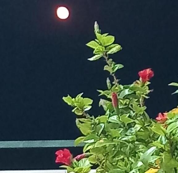 اتاق استاندارد با سرویس بهداشتی مشترک, Guesthousemantho