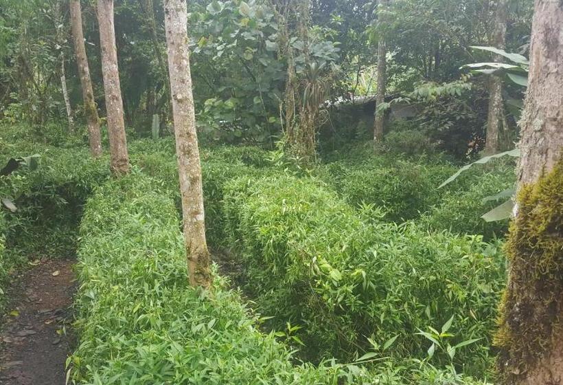 1间卧室的房子, Hosteria La Roulotte Mindo