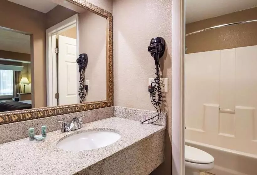 キングサイズベッドのスタンダードルーム, Best Western Lumberton