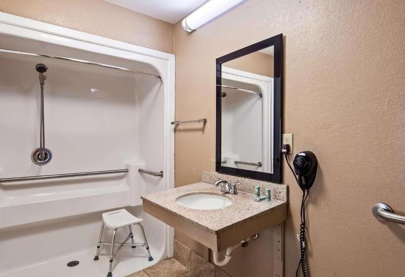 غرفة قياسية سرير كينج لذوى الإحتياجات الخاصة, Best Western Lumberton