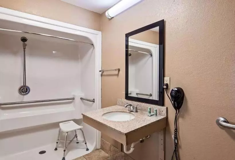 身障者適用キングサイズベッドルーム, Best Western Lumberton