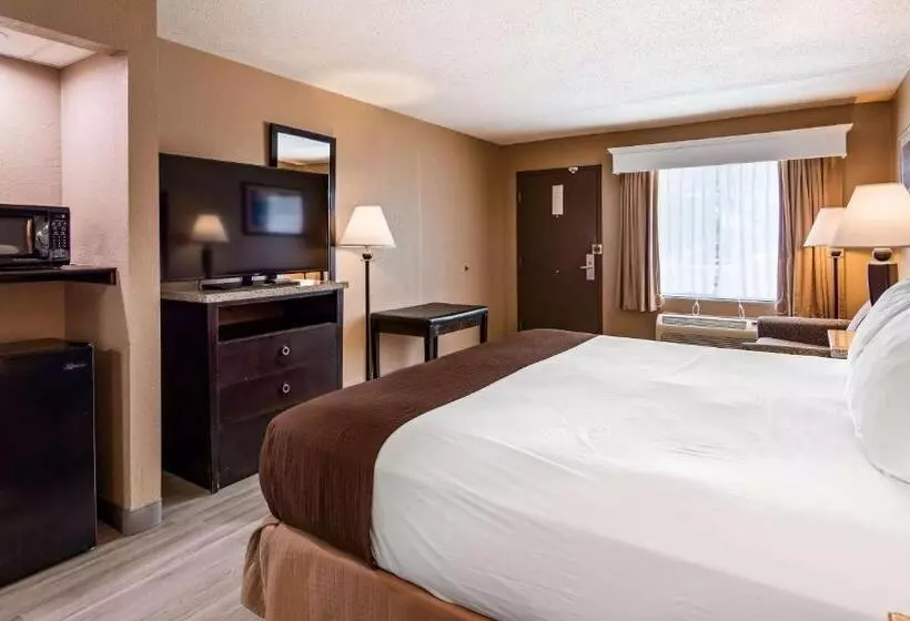 身障者適用キングサイズベッドルーム, Best Western Lumberton