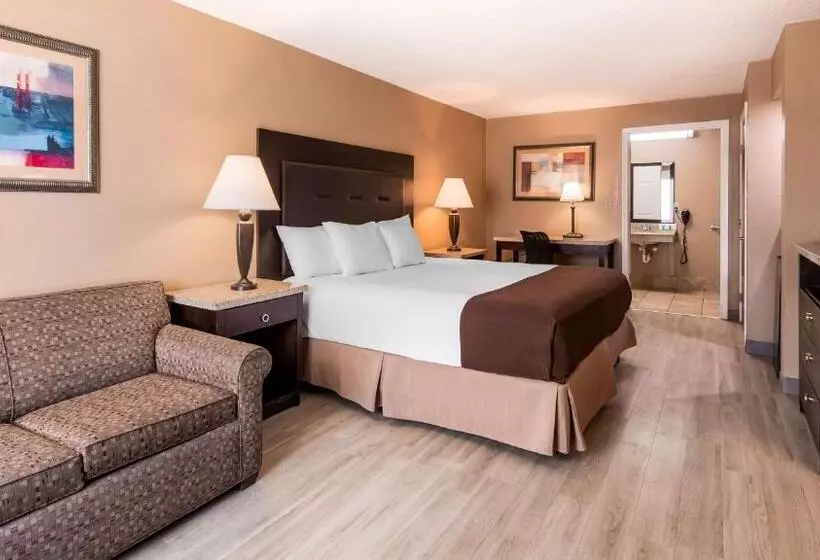 身障者適用キングサイズベッドルーム, Best Western Lumberton