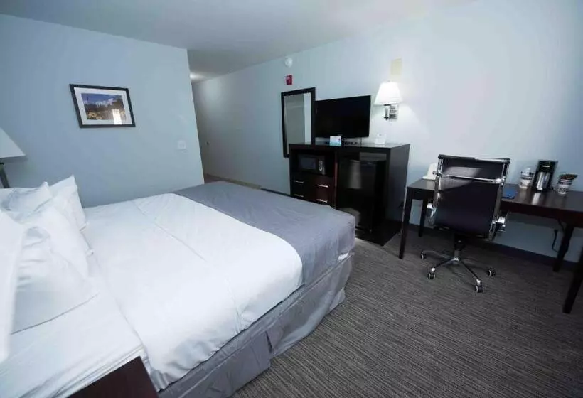 スタンダードルーム, Best Western New Baltimore Inn