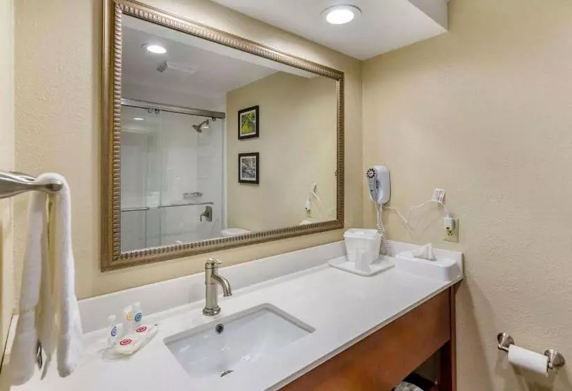 Standard-huone King-vuode, Comfort Inn