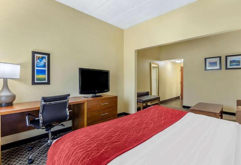 Quarto Estandar Cama King, Comfort Inn