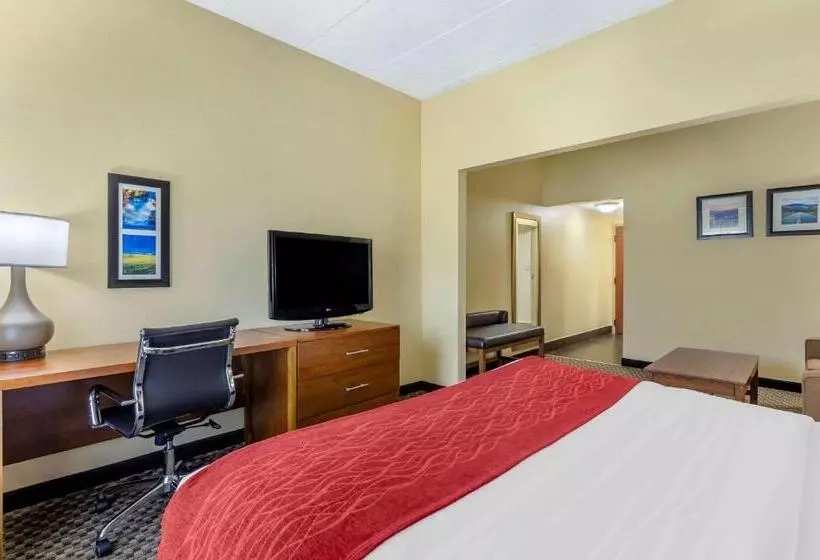 Standard-huone King-vuode, Comfort Inn