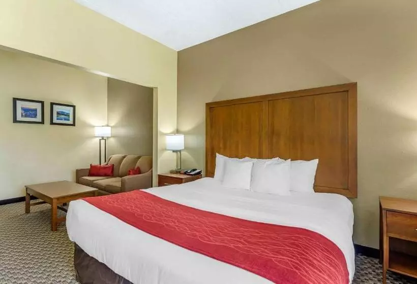 Standard-huone King-vuode, Comfort Inn