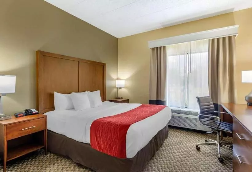 Standard-huone King-vuode, Comfort Inn