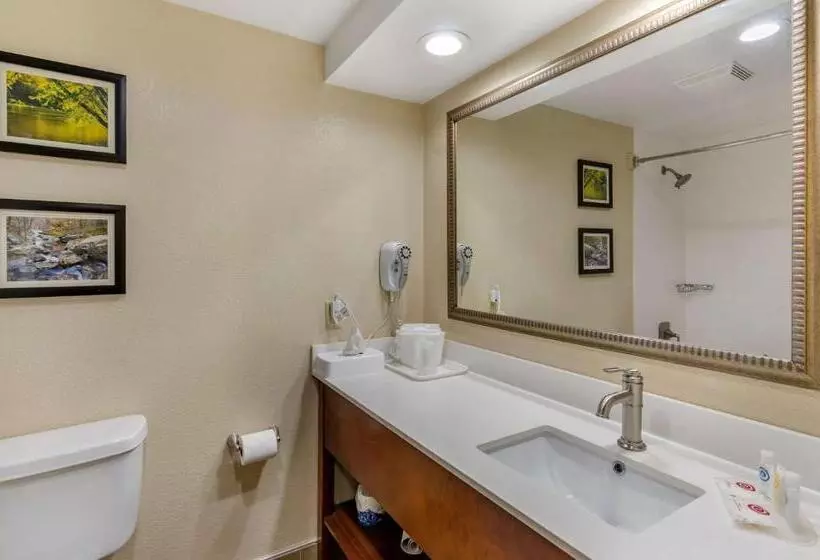 Standard-huone, Comfort Inn
