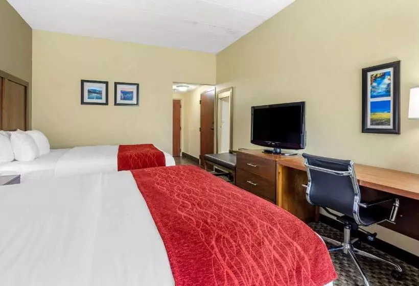 Standard-huone, Comfort Inn