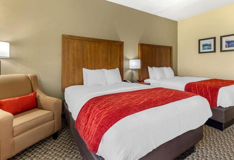 Quarto Estandar, Comfort Inn