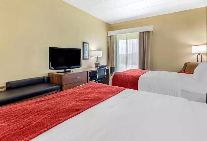 Standard-huone, Comfort Inn