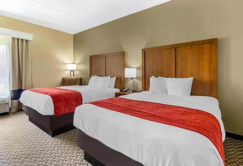 Standard-huone, Comfort Inn
