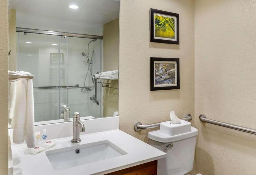 غرفة قياسية سرير كينج لذوى الإحتياجات الخاصة, Comfort Inn