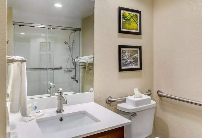 Standard-invahuone King-vuode, Comfort Inn