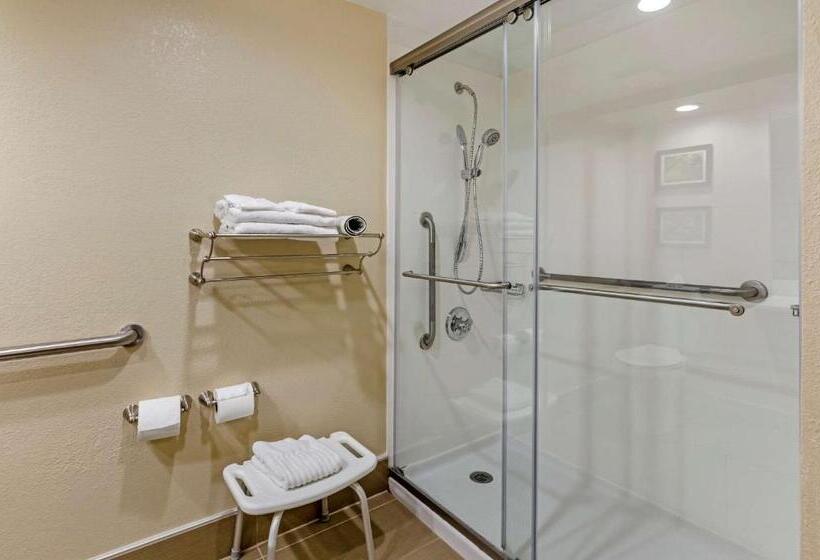 Номер Стандарт Кровать Кинг Адаптированный для Инвалидов, Comfort Inn