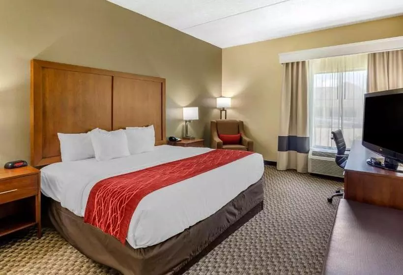 Standard-invahuone King-vuode, Comfort Inn