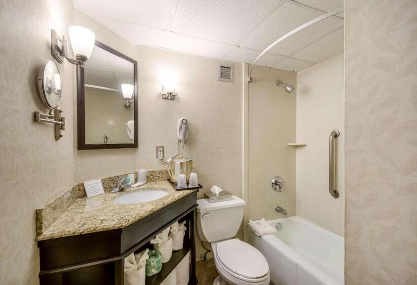 带2个双人床的标准工作室, Exton Hotel And Conference Center