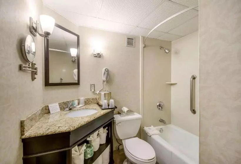 ２ダブルベッドのスタンダードルーム, Exton Hotel And Conference Center