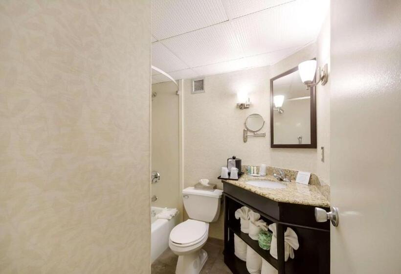 带大床的标准间, Exton Hotel And Conference Center