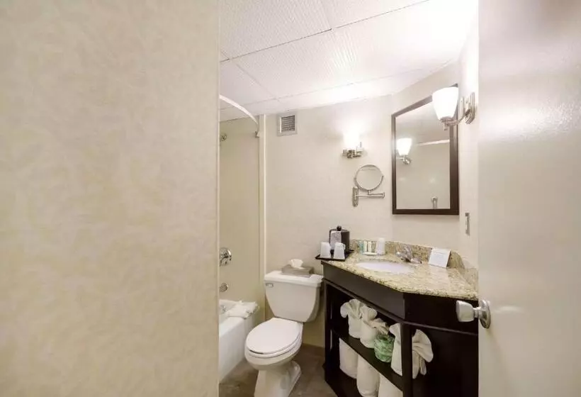 キングサイズベッドのスタンダードルーム, Exton Hotel And Conference Center