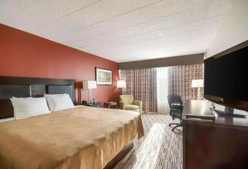 キングサイズベッドのスタンダードルーム, Exton Hotel And Conference Center