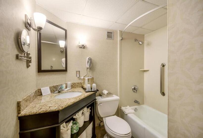 带大床的豪华间, Exton Hotel And Conference Center