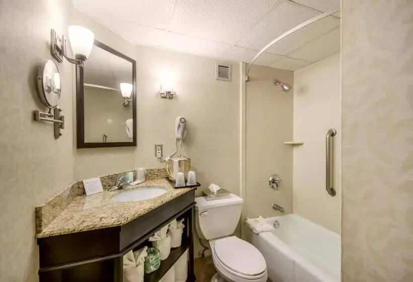 キングサイズベッドのデラックスルーム, Exton Hotel And Conference Center
