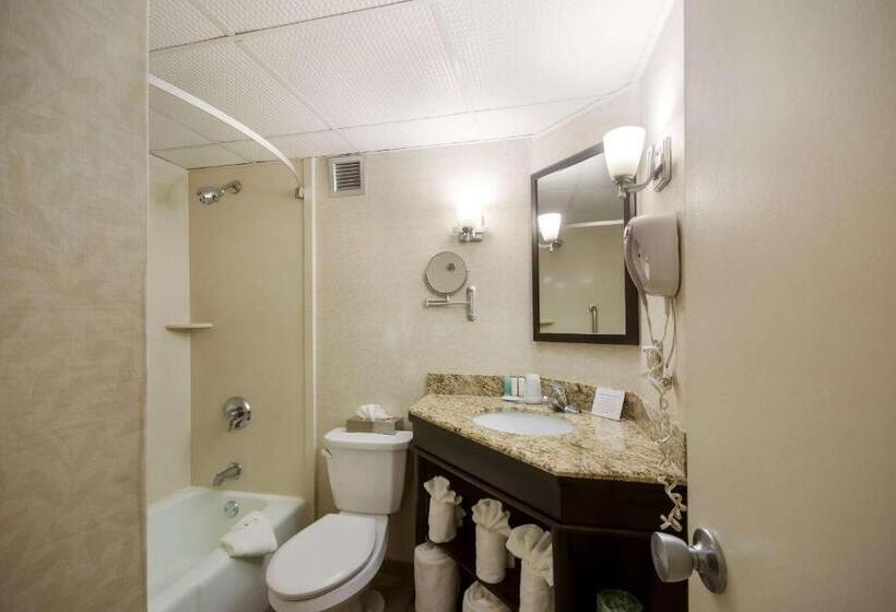 带大床的豪华间, Exton Hotel And Conference Center