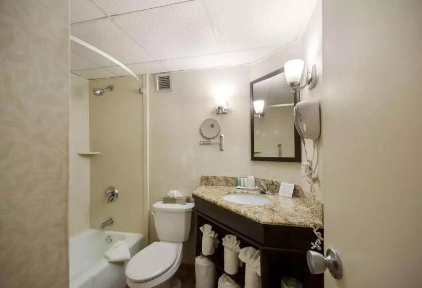 キングサイズベッドのデラックスルーム, Exton Hotel And Conference Center
