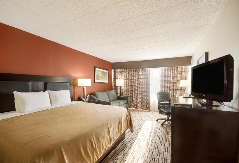 带大床的豪华间, Exton Hotel And Conference Center