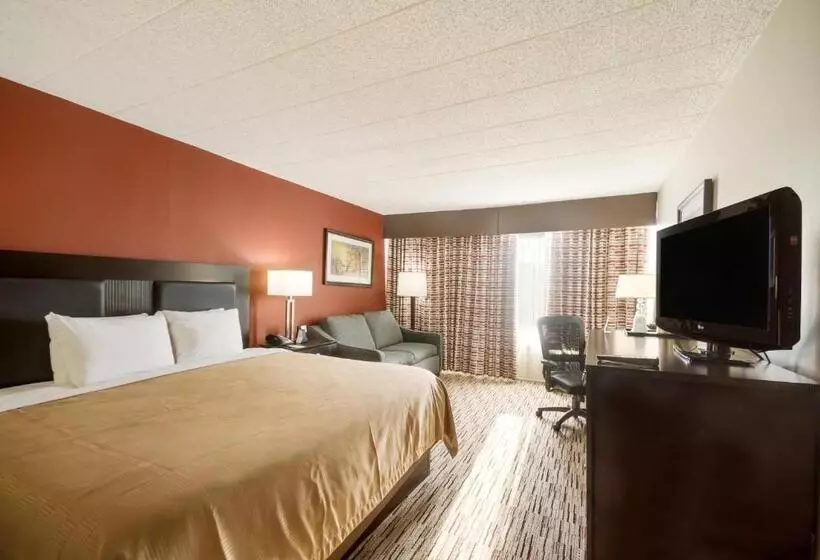 キングサイズベッドのデラックスルーム, Exton Hotel And Conference Center