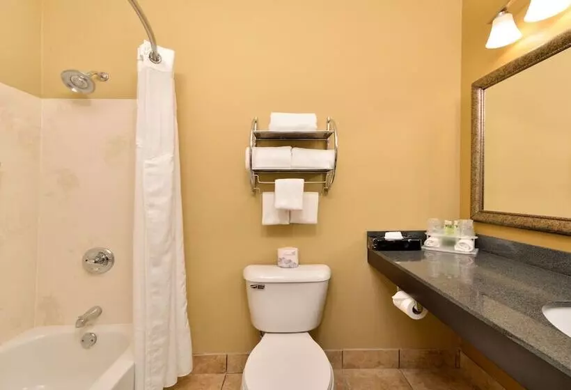 スタンダードルーム, Comfort Inn & Suites Sharonville   Cincinnati North