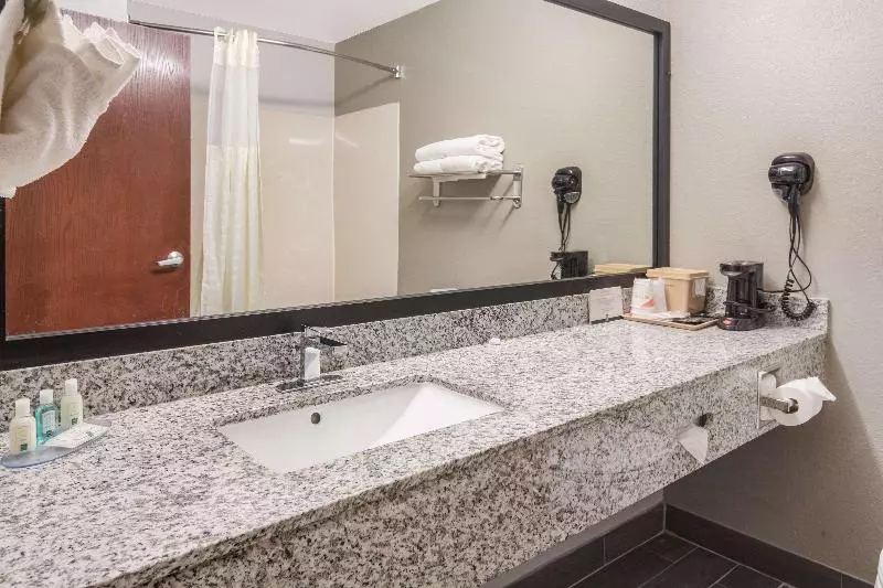 اتاق استاندارد با تخت بزرگ, Quality Inn & Suites